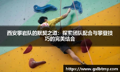 西安攀岩队的默契之道：探索团队配合与攀登技巧的完美结合