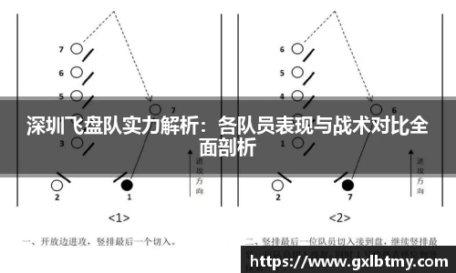 深圳飞盘队实力解析：各队员表现与战术对比全面剖析