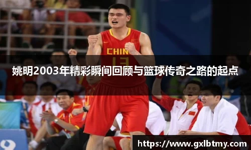 姚明2003年精彩瞬间回顾与篮球传奇之路的起点