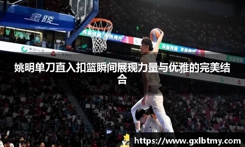 姚明单刀直入扣篮瞬间展现力量与优雅的完美结合