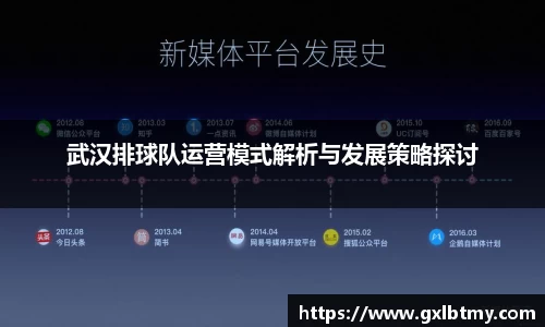 武汉排球队运营模式解析与发展策略探讨