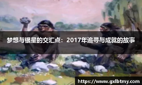 梦想与银星的交汇点：2017年追寻与成就的故事